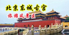 大鸡吧艹逼的视频中国北京-东城古宫旅游风景区